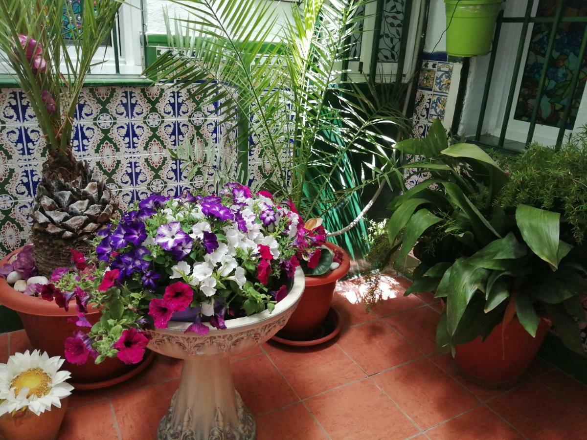 Hotel H Juan Marbella Zewnętrze zdjęcie